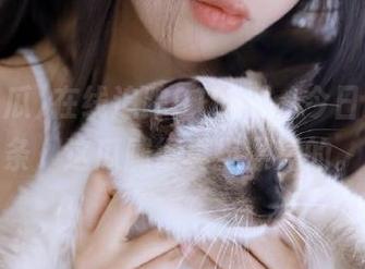 在线追踪91吃瓜，今日更新头条，这瓜雕得真挺漂亮的。
