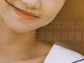 www.tttzzz.com的奇妙旅程——永不迷路的瓜界冒险！