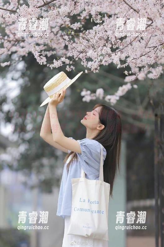 zztt49.ccm 消失的黑料菜单,zztt49.ccm给你特开个小入口,快来翻翻吧!