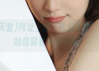 网址上的“吃瓜天堂”，你真的埋藏着多少八卦？
