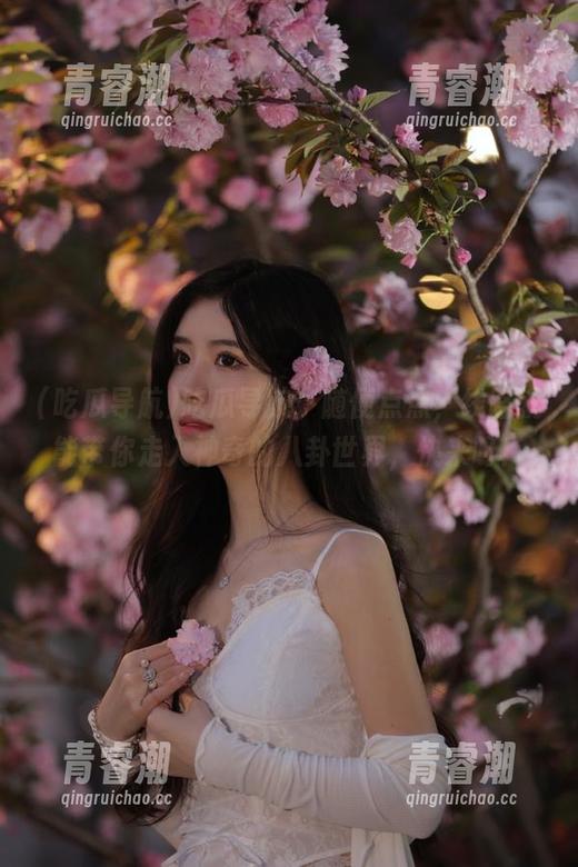 吃瓜导航：随便点点，线路就能带你走入神奇的八卦世界，快来呀！