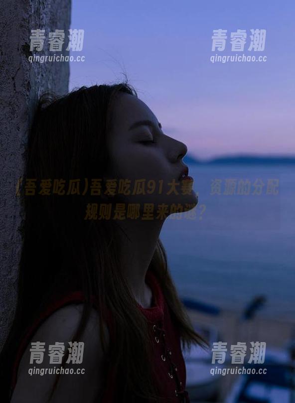 吾爱吃瓜 吾爱吃瓜91大赛,资源的分配规则是哪里来的谜?