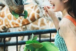吃瓜心态太真实，观看黑料不打烊过程中的酸甜苦辣。