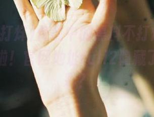 传说中的黑料不打烊，今天又更新啦！官网地址fuli2隐藏了哪些精彩？