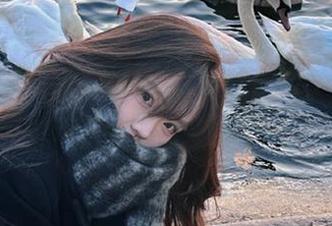 永久保持好奇，黑网料让你不想停下的旁观