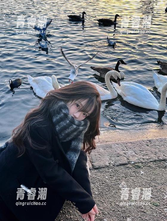 永久保持好奇，黑网料让你不想停下的旁观