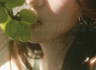 每次登录黑网料，心里都在预感又要被“吓到”了…